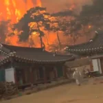 천년고찰 고운사 전소 : 의성 산불 영향