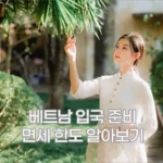 베트남 입국 준비 및 면세 한도 알아보기