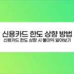 신용카드 한도 상향 방법 및 신용카드 한도 상향 시 불이익 알아보기