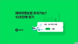 네이버 여행자보험비교 사이트 (네이버페이 10% 적립)