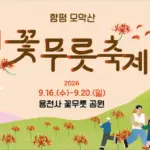 2026 함평 모악산 꽃무릇축제 개화시기와 영광·고창 명소 비교