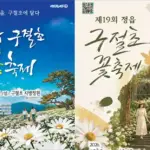 2026 정읍 구절초 꽃축제 10월 8~18일 입장료 프로그램 총정리